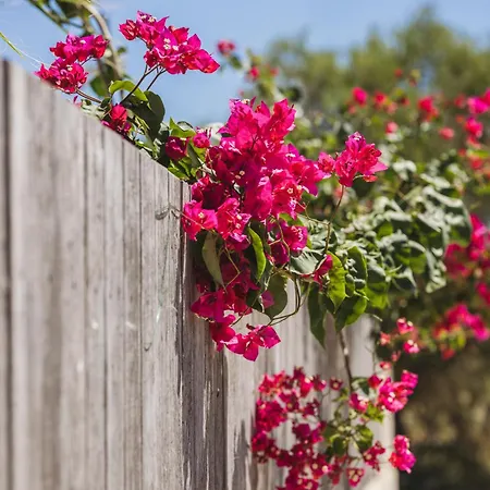 Dennis And Tanya Дом отдыха *